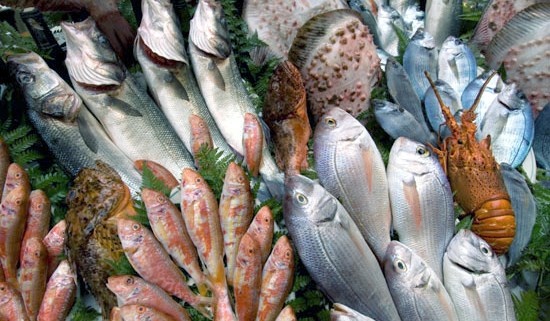 Пять наиболее полезных видов морских рыб
