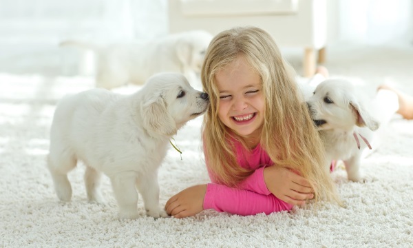 дети и домашние животные на ковре